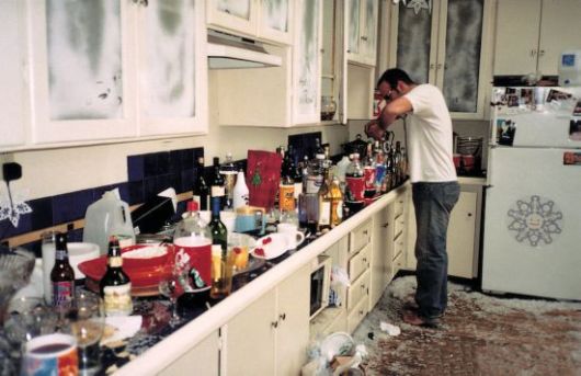 Bathrooms And Kitchens Of American Bachelors