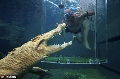 The Cage of Death, Australia