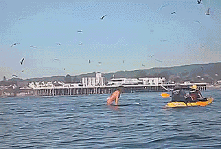 Heart Stopping Close Call Moments