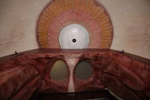 Worlds First Corpus Museum