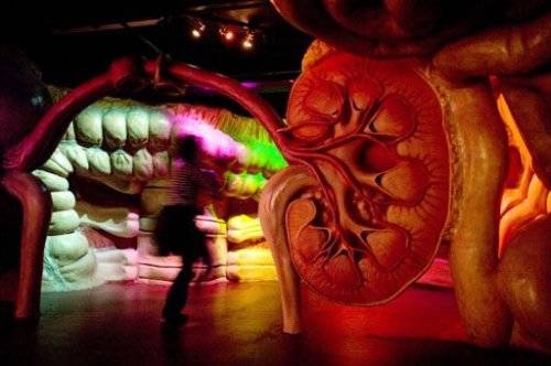 Worlds First Corpus Museum