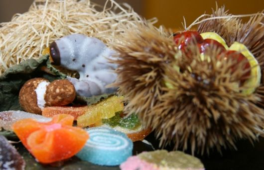 Crazy Caterpillar Chocolates