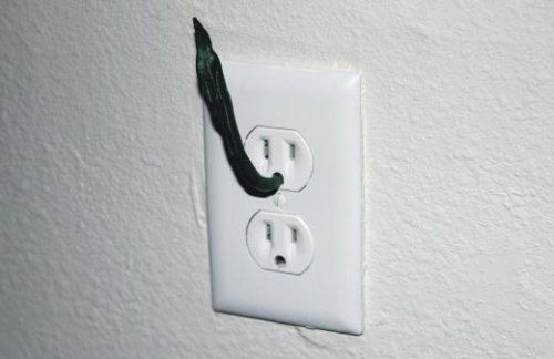 Die Eletric Innovative Funny Plugs