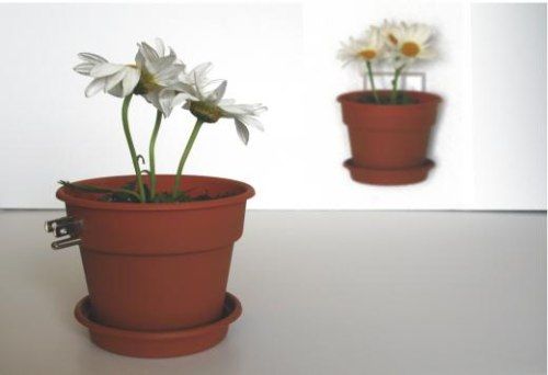 Die Eletric Innovative Funny Plugs