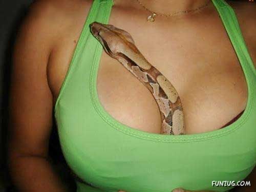 Galz and Snakes Crazy Photography