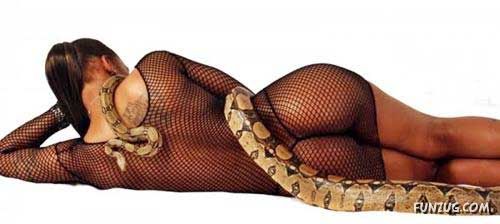 Galz and Snakes Crazy Photography