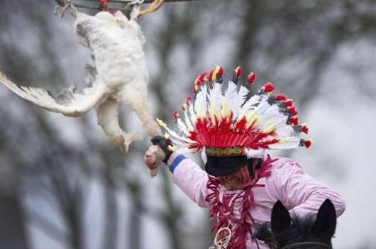 The Crazy Goose Pulling Sport