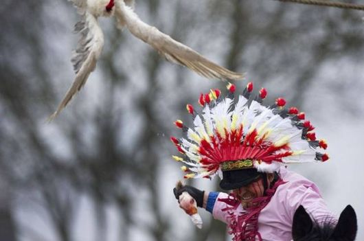 The Crazy Goose Pulling Sport