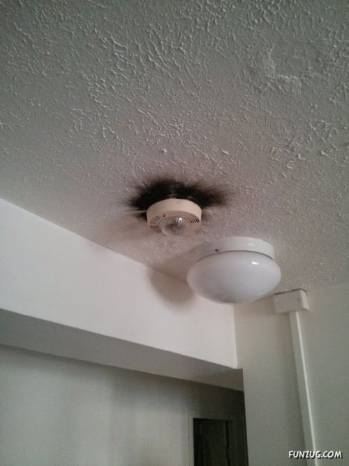 The Irony Is Strong In These Photos