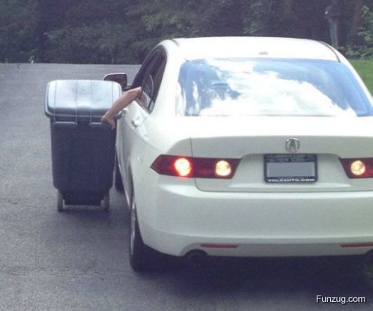 Lazy Of The Year Award Goes To