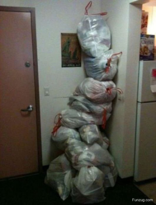 Lazy Of The Year Award Goes To