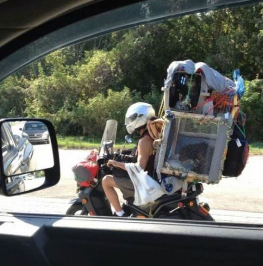 Man Level - Expert Crazy Pictures