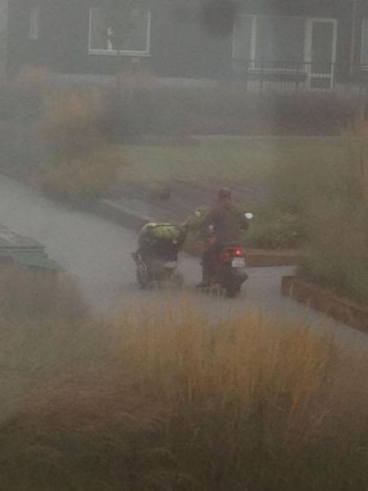 Man Level - Expert Crazy Pictures