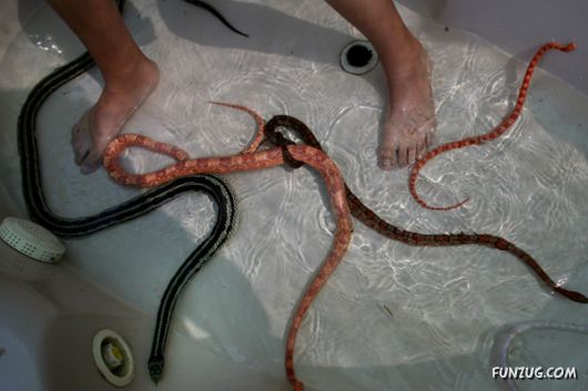 Snaky Massage for Galz