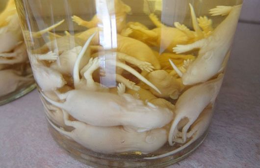 World's Most Dangerous Drinks