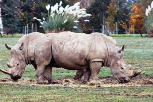 Unbelievable Non Photoshopped Pictures