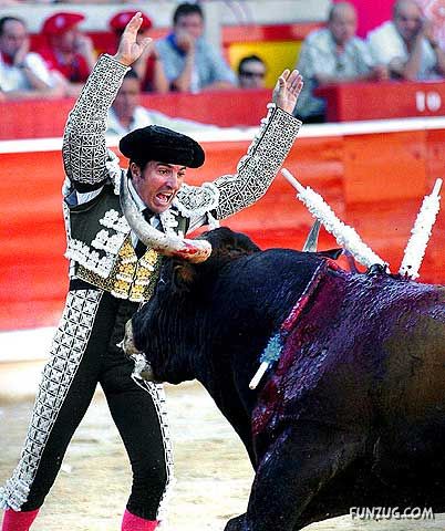 Dare To Play with Bull ? ( Ooops... )