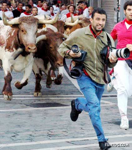 Dare To Play with Bull ? ( Ooops... )