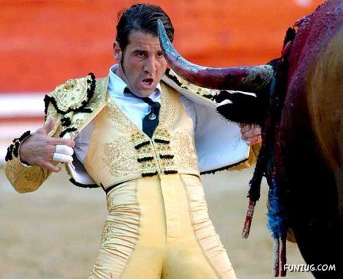 Dare To Play with Bull ? ( Ooops... )