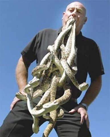 The Snakeman Rattlesnakes in the Mouth Record