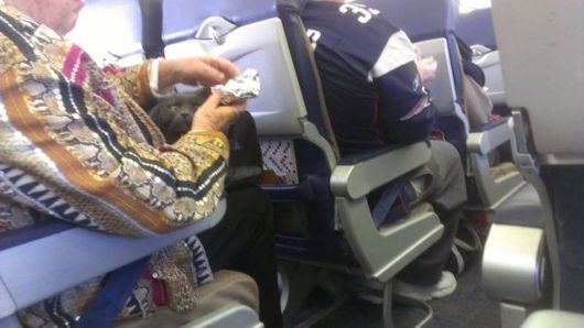 Strangest Airline Passengers You Will Ever See