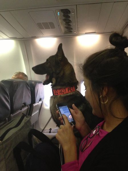 Strangest Airline Passengers You Will Ever See