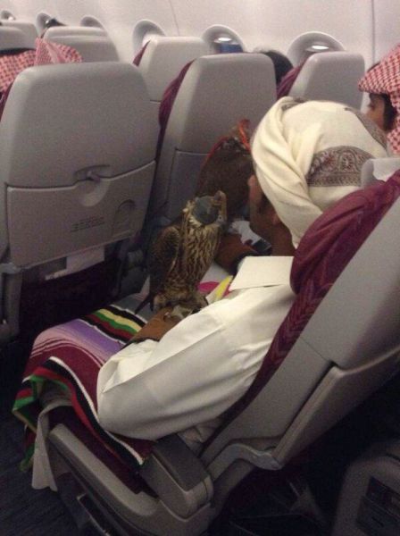 Strangest Airline Passengers You Will Ever See