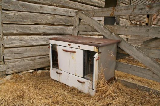 Surprising Things Dug Up From Peoples Yards