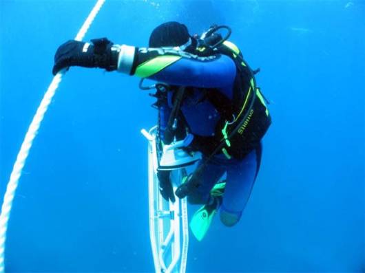 Ever Seen Underwater Ironing