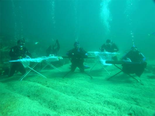 Ever Seen Underwater Ironing