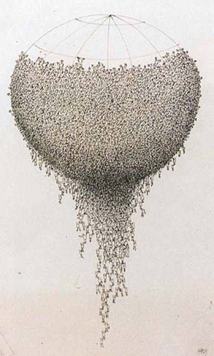 Some Award Winning Cartoons