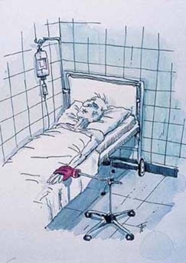 Some Award Winning Cartoons