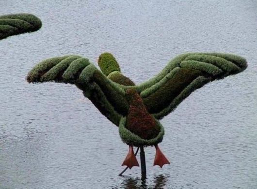 Beautiful Gardens Depicting Beijing Olympics