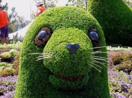 Beautiful Gardens Depicting Beijing Olympics