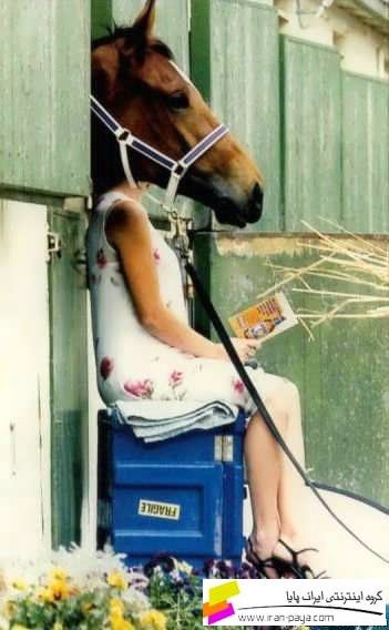 Creativeness in Photography