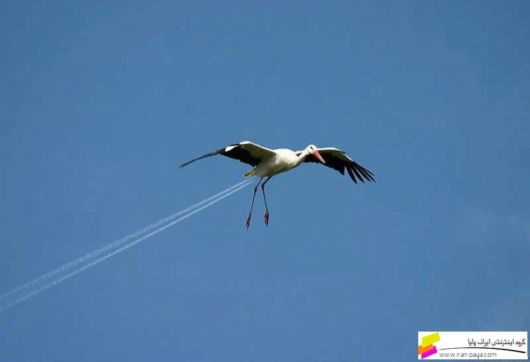 Creativeness in Photography