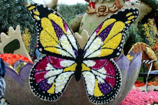 Beautiful Flower Carnival