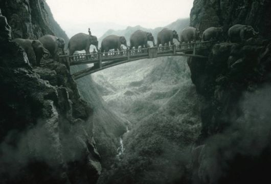 Amazing Fun With Creatives