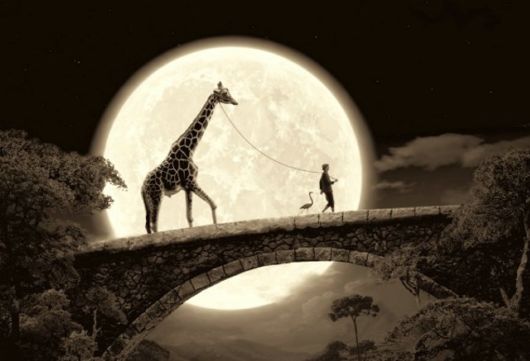 Amazing Fun With Creatives