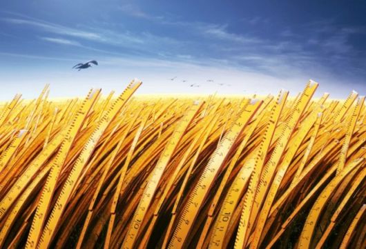 Amazing Fun With Creatives