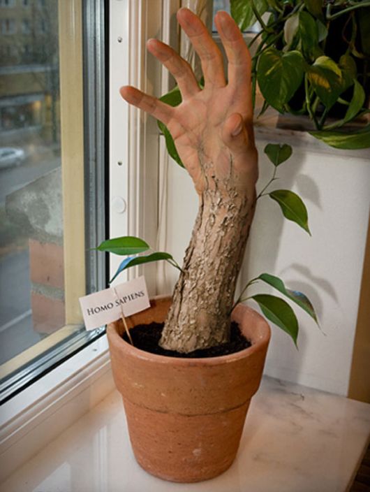 Funny Photoshop Creations