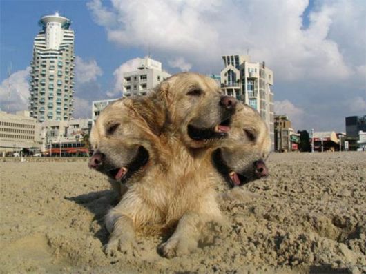 Funny Photoshop Creations