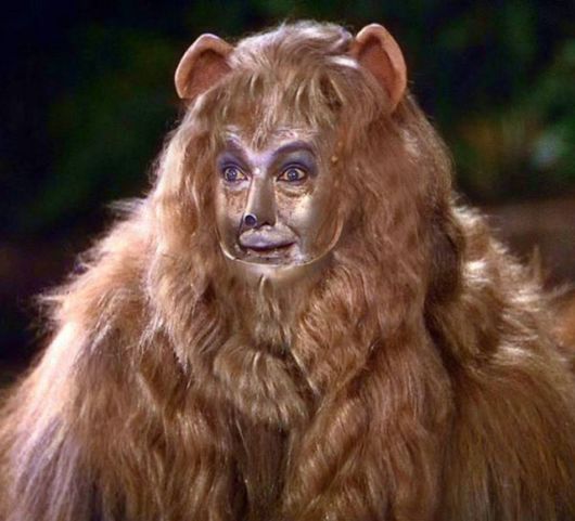 Funny Photoshop Creations