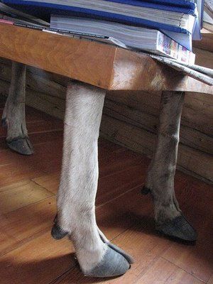 Funny n Creative Table Legs