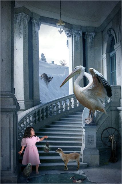 Amazing Funny Creativity