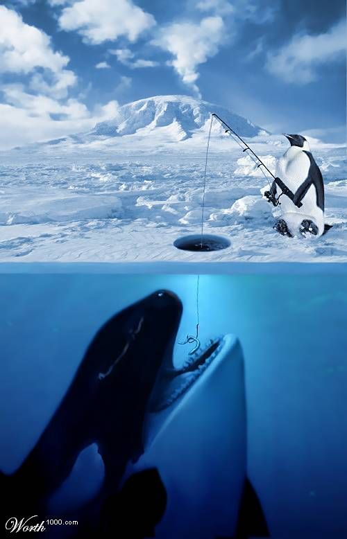 An Imaginary World of Penguins