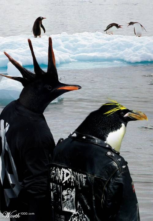 An Imaginary World of Penguins