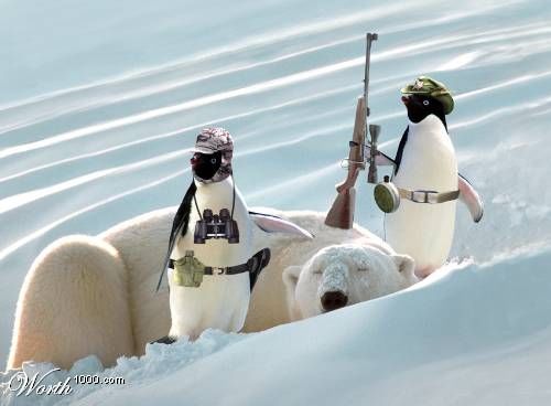 An Imaginary World of Penguins