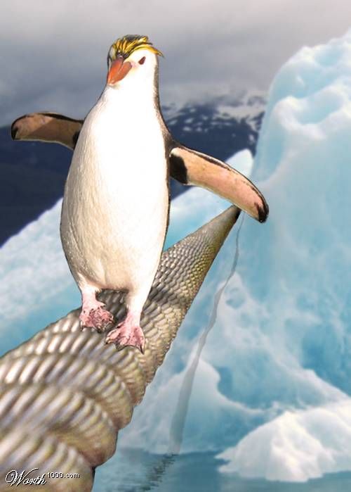 An Imaginary World of Penguins