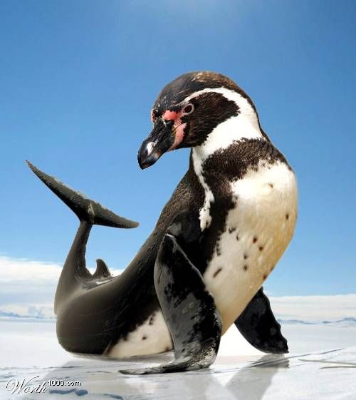 An Imaginary World of Penguins